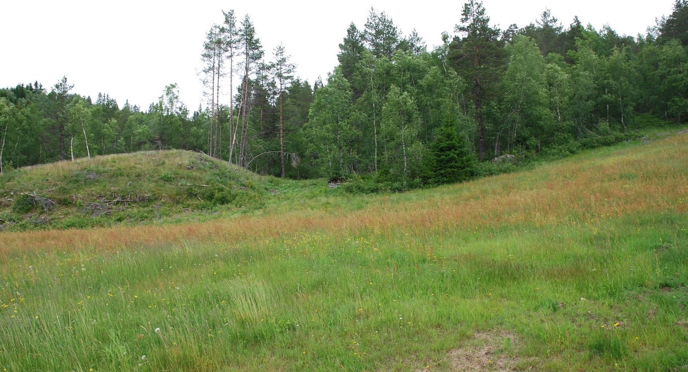 4 Det går ein sti som kryssar området to stader. Det er lagt inn omsynssone begge stader. Ved kryssing nordaust i området vert stien endra i ca. 30-40 meter, for å unngå kryssing av tomt F7.