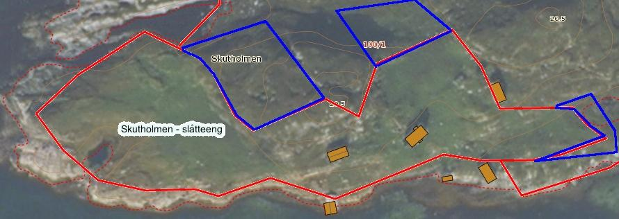 Fig. 1. Ortofoto over Skutholmen, der det med rødt er avgrenset verdifulle naturmiljøer (slåtteenga i sør og vest, kystlyngheia i nord og øst). Fig. 2.