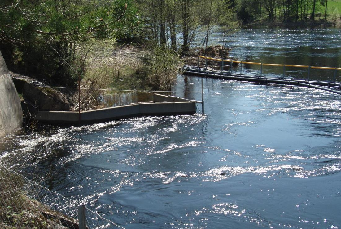 Antall smolt 18 Styring av nedvandrende smolt Inntak Elv Har påvist hvordan smolt (laksunger på vei ut elva) kan styres forbi kraftverkinntak