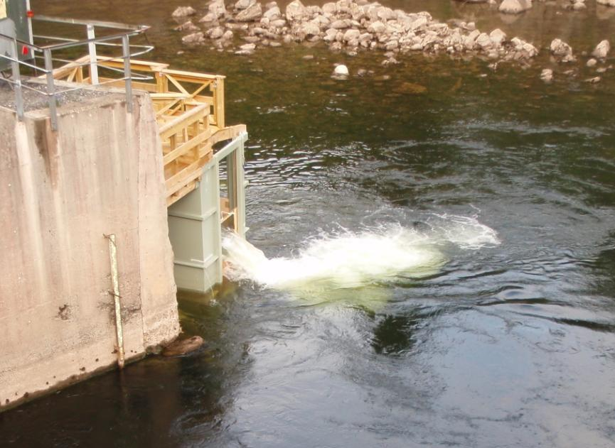 19 Oppvandring av laks Prosjektet har bygd Norges første eksperimentelle fisketrapp i Nidelva ved Arendal hvor