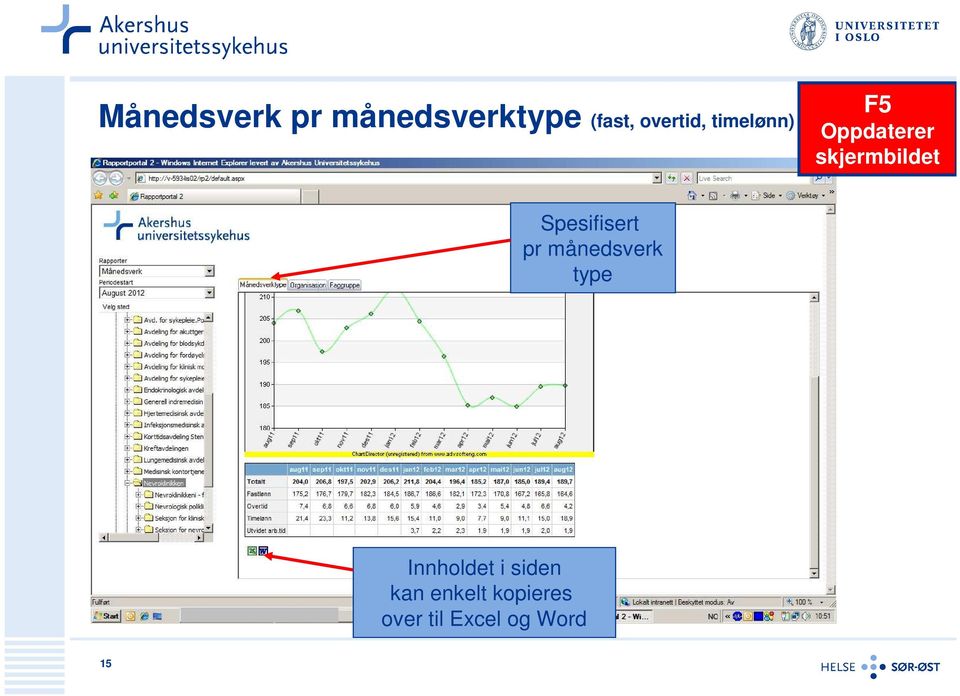 månedsverk type Innholdet i siden kan