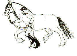 FØRING I SKRITT Hesten skal alltid gå på mønstrerens høyre side. En skal gå inntil hesten på høyde med hestens bog.