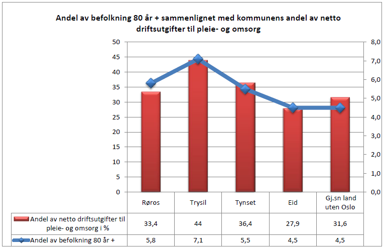 7.2 Pleie og omsorg: Dette tjenesteområdet omfatter både institusjonsbasert pleie og omsorg, hjemmebasert pleie og omsorg og aktiviserings- og servicetjenester for eldre og funksjonshemmede.