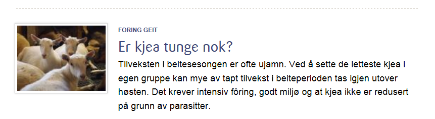 Faglig informasjon