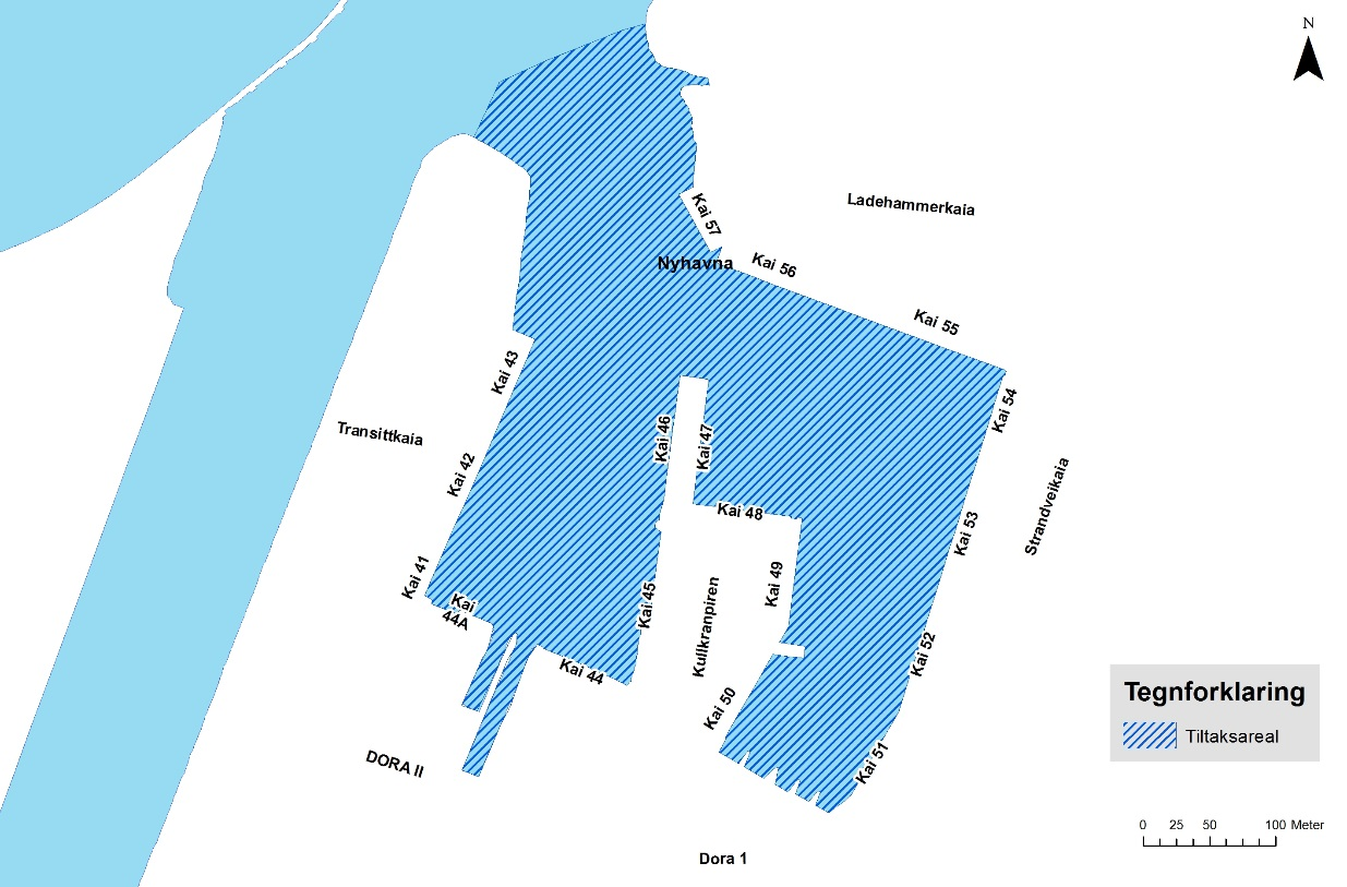 Grensesnittet for tiltaksprosjekteringen er at tiltaksprosjekteringen beskriver tiltak i alle områder i Nyhavna som ikke omfatter deponiet.
