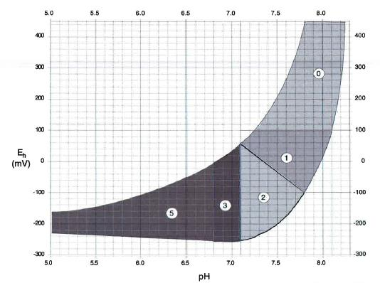 stasjon. Bunndyr ble registrert i skjema B.1 (NS 9410), dyr større enn 1 mm gir 0 poeng, ingen dyr gir 1 poeng. Dyrene ble videre klassifisert i skjema B.2 (NS 9410).