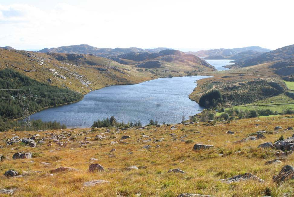 4.2 Naturtyper i planområdet Lynghei er sammen med myr og vann de dominerende naturtypene i planområdet.