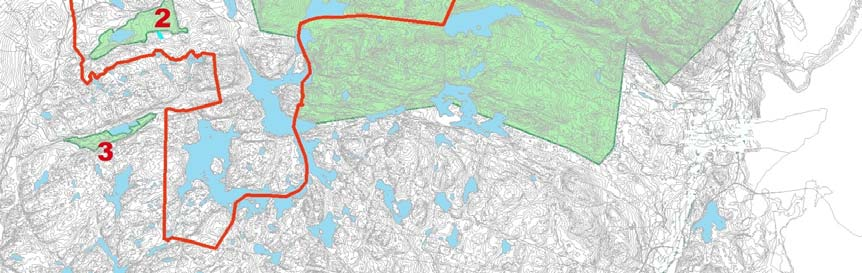 Den overnevnte verdisettingen av kystlynghei samsvarer med Fremstad og Moen (2001), som har definert kystlynghei som en akutt truet vegetasjonstype, med nasjonal verdi.