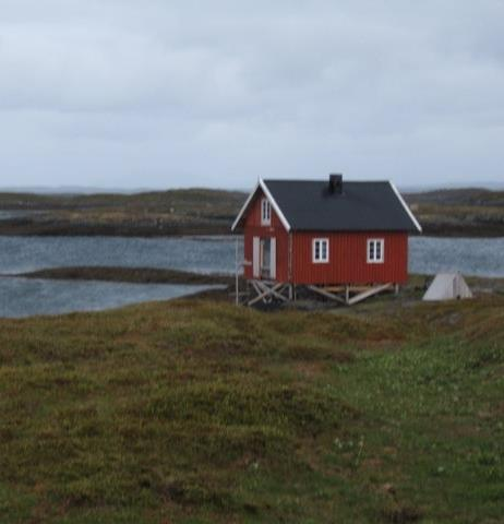 Hva virket i følge kommunene ROBEK I Gode økonomiske analyser basert på KOSTRA tall Bevisstgjorde deltakerne Styrket forankringa internt Deltakelse fra politisk og administrativt nivå Opplæring