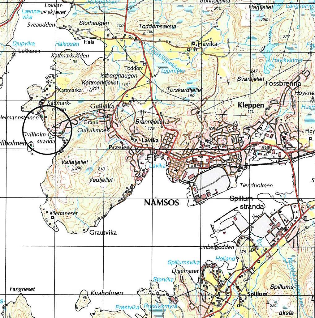 1. Bakgrunn Rv 769 Namdalsprosjektet i Namsos består av utbedring av Rv 769 gjennom sentrum, tunnel gjennom Brennhammeren, ny bru over Namsen, nye gang- og sykkelveger, undergang på Spillumshøgda,
