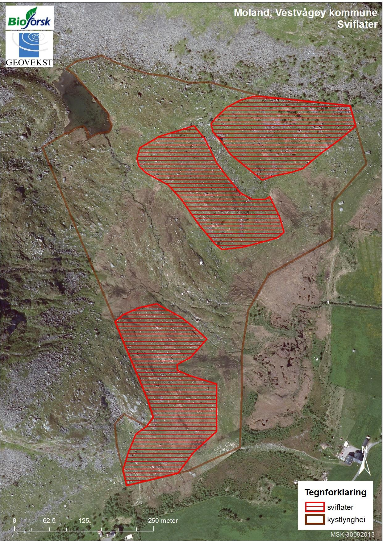 Figur 2. Skjøtselsbehov på Moland. Hele område bør beites. Sviing skal skje innenfor de avgrensete sviflatene på 10-15 daa om gangen.