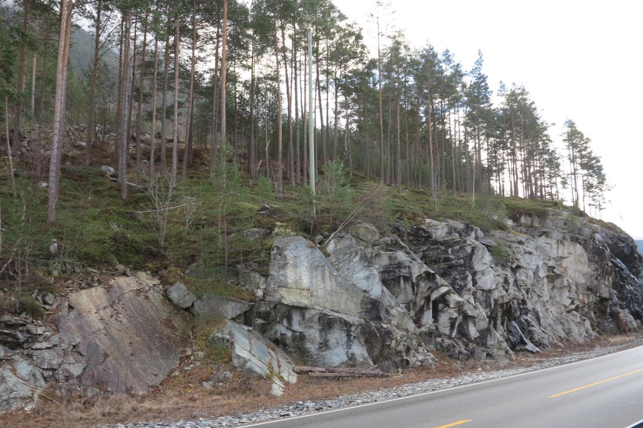 Figur 5 Botnsjiktet i furuskogen er mosedominert med etasjemose og furumose Figur 6 Sett frå vegen nær startpuntet for tilkomstvegen.