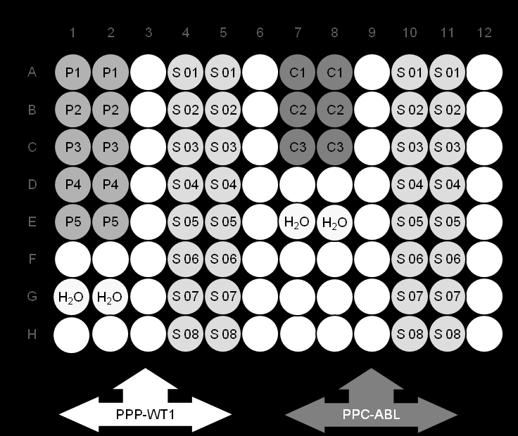 Figur 5. Anbefalt plateoppsett for ett eksperiment. S: cdna-prøve; P1 5: WT1- standarder; C1 3: ABL-standarder; H 2 O: vannkontroll.