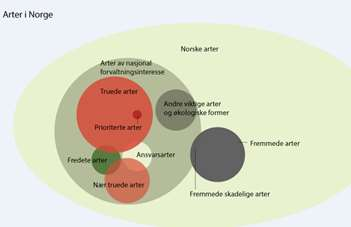 Forvaltningsrelevante arter Arter som forvaltningen må ta hensyn til, f.eks.