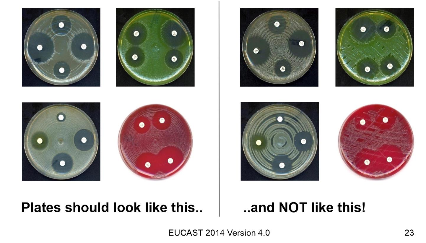 Disc diffusion