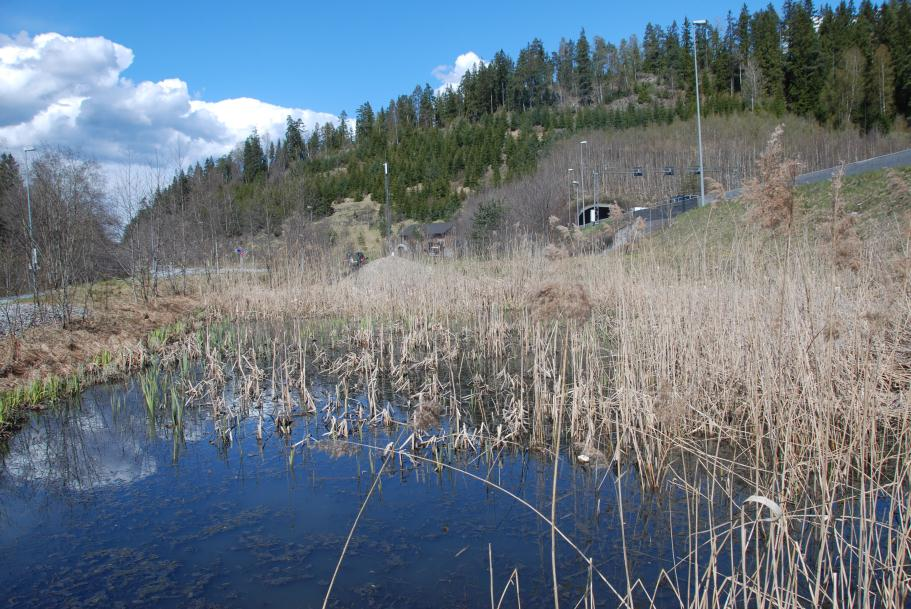 Figur 21. Hovedbassenget av rensebassenget i Vassum (delvis gjengrodd) med nordbytunellen i bakgrunnen, mai 2010. Foto: L.S.Heier. 3.1.6 Kontrolldammer To dammer ble benyttet som kontroll i studien.