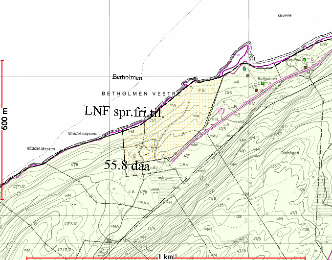 Fig.19 Betholmen Moen Område er viktig for landbruket. Forstrand En privat reguleringsplan i dag.