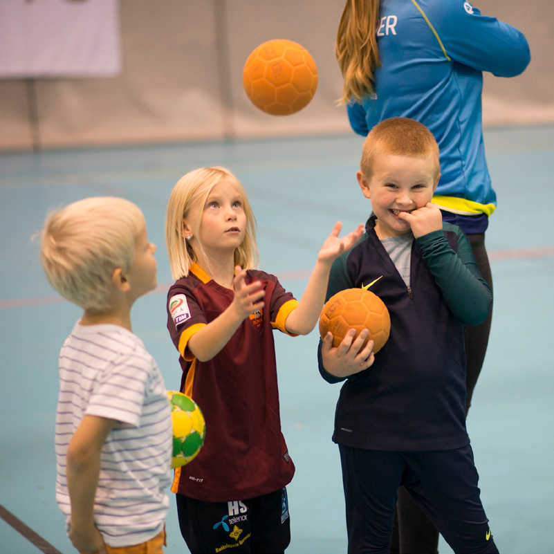 Nivåpåmelding og laginndeling Den sportslige utviklingen i BSK kjennetegnes av langsiktig tankegang. Treneren er ansvarlig for at utøverne i sin gruppe får optimale utfordringer.