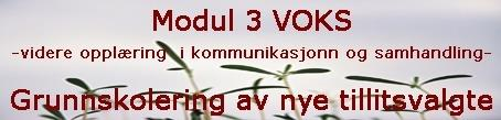 Møte med