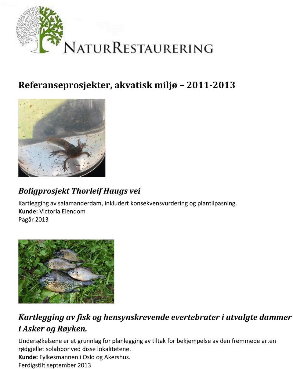 Kunde: Victoria Eiendom Pågår 2013 Kartlegging av fisk og hensynskrevende evertebrater i utvalgte dammer i Asker og