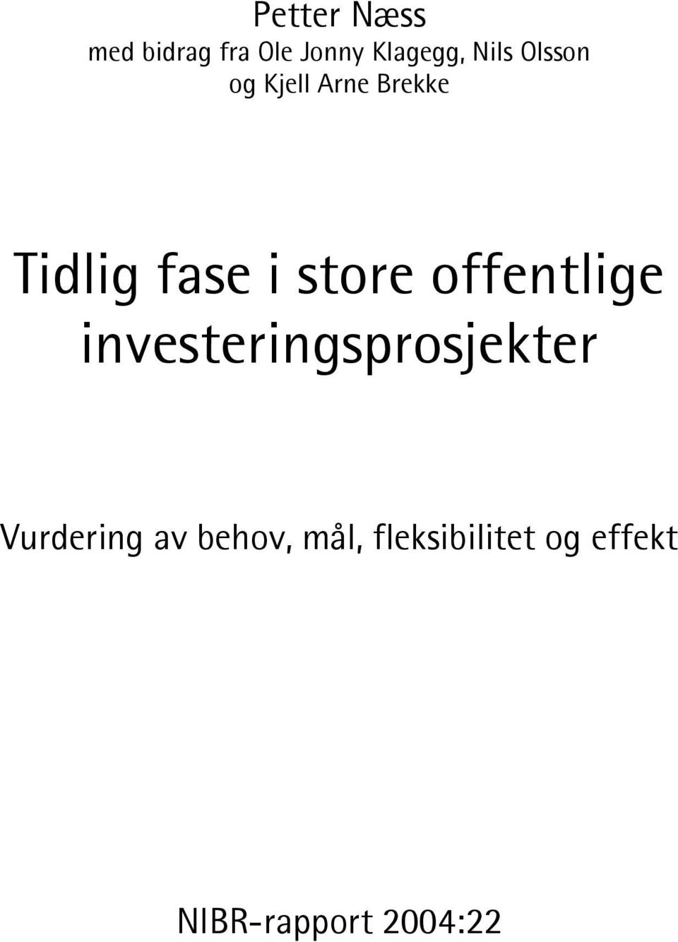 i store offentlige investeringsprosjekter