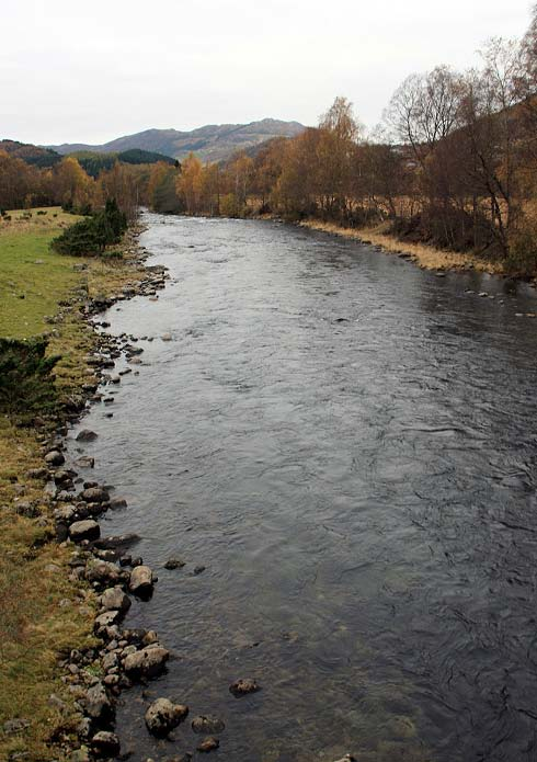 Bjerkreimselva stasjon