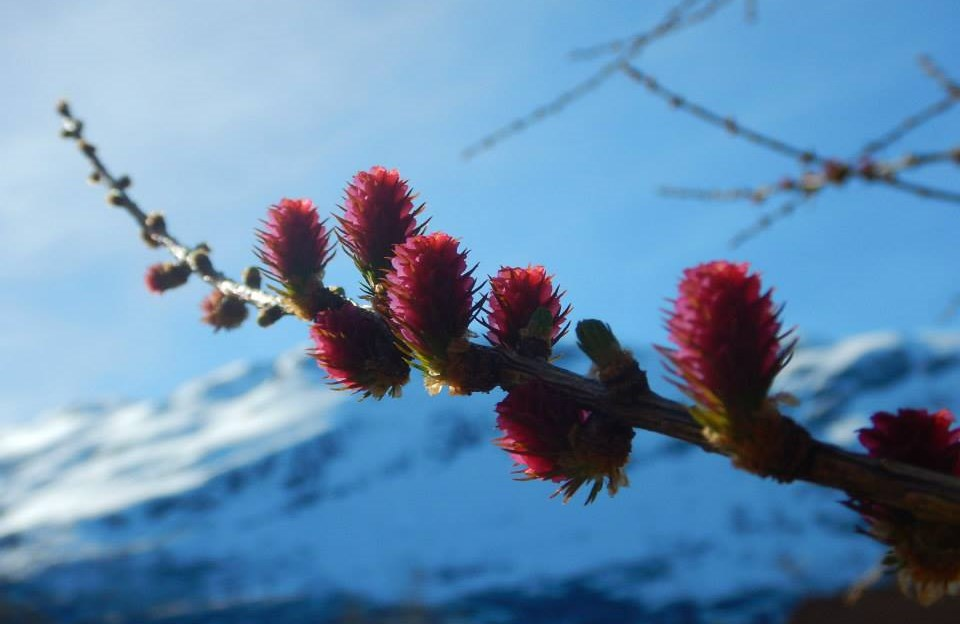 Leiar deltok også i september på regionskonferanse for friviligsentraler i Balestrand. Dette er ein årleg konferanse i regi av kulturdepartementet KUD.