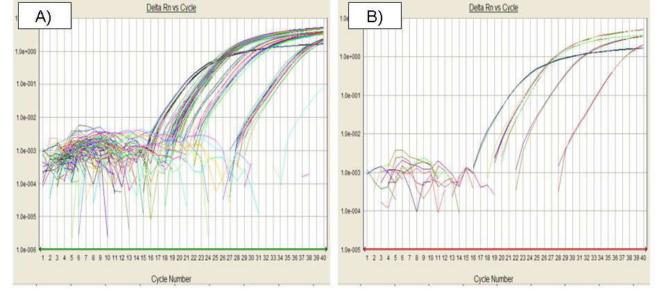 Resultater analysen registrerte i tillegg til Ct-verdiene avvikene mellom de parallelt utsådde brønnene.