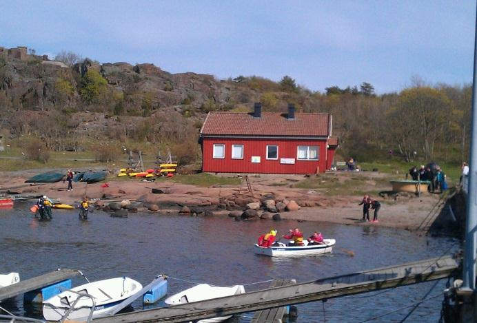 Beiting på Bolærne-øyene Foto: Hauan Gård Preben Fossaas Foto: Hauan Gård Sauer fra Hauan Gård pleier landskapet på hele Østre Bolæren til glede for besøkende og leirskoleelevene.