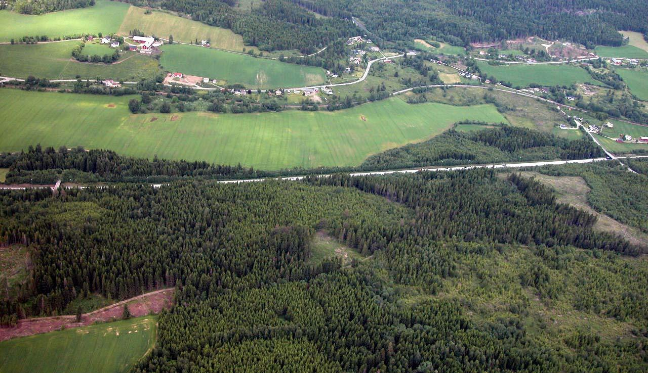 Område Hamar grense-brumunddal nord, verdivurdering for kategorien dyrka mark Nordover fra Brumunddal mot Rudshøgda er det stort areal med høyproduktiv skog, spesielt vest for E6.