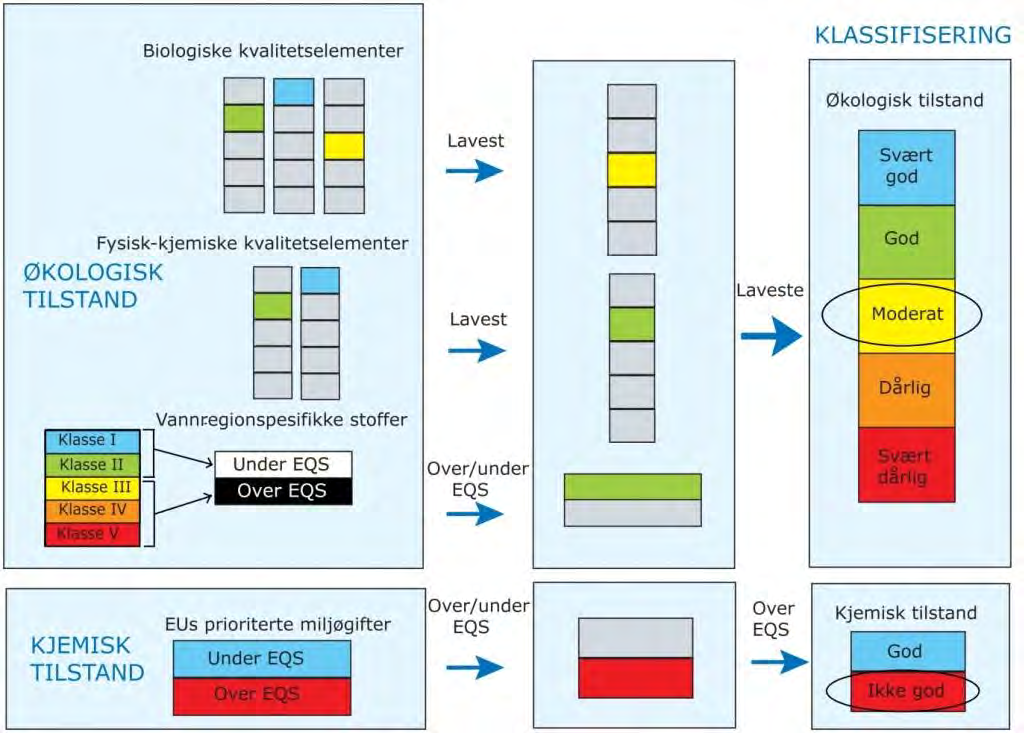 Neste skritt er å normalisere EQR-verdiene for hver parameter eller indeks, slik at de kan sammenlignes og kombineres.