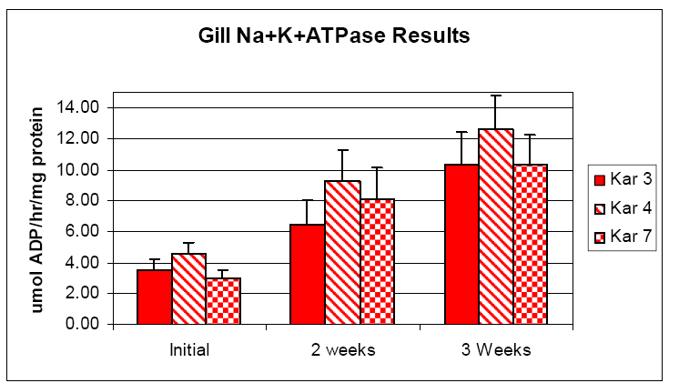 Settefiskanlegg 2 Materiale: Antall fisk 291 Snittvekt ved start av SuperSmolt 38 g, 55 g, 68 g (lite utvalg) Program Snittvekt ved slutt av SuperSmolt 56 g, 62 g, 78g (lite utvalg) Program