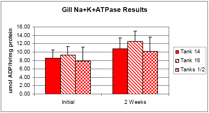 Settefiskanlegg 6 Ved settefiskanlegg nr. 6 var det to ulike grupper med SuperSmolt-fisk. Både startdato, vekt og antall var ulikt i de to gruppene. SuperSmolt gruppe 6.