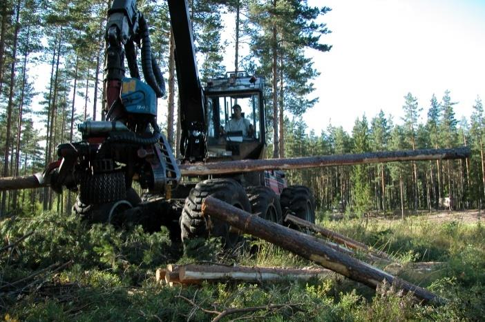 Kartlegging av skog i Brønnøy, Bindal, Sømna og Leka Relativt mange skogeiere (ca 750) Små/ middels store eiendommer Ca 325.000 daa prod skog Ca 250.