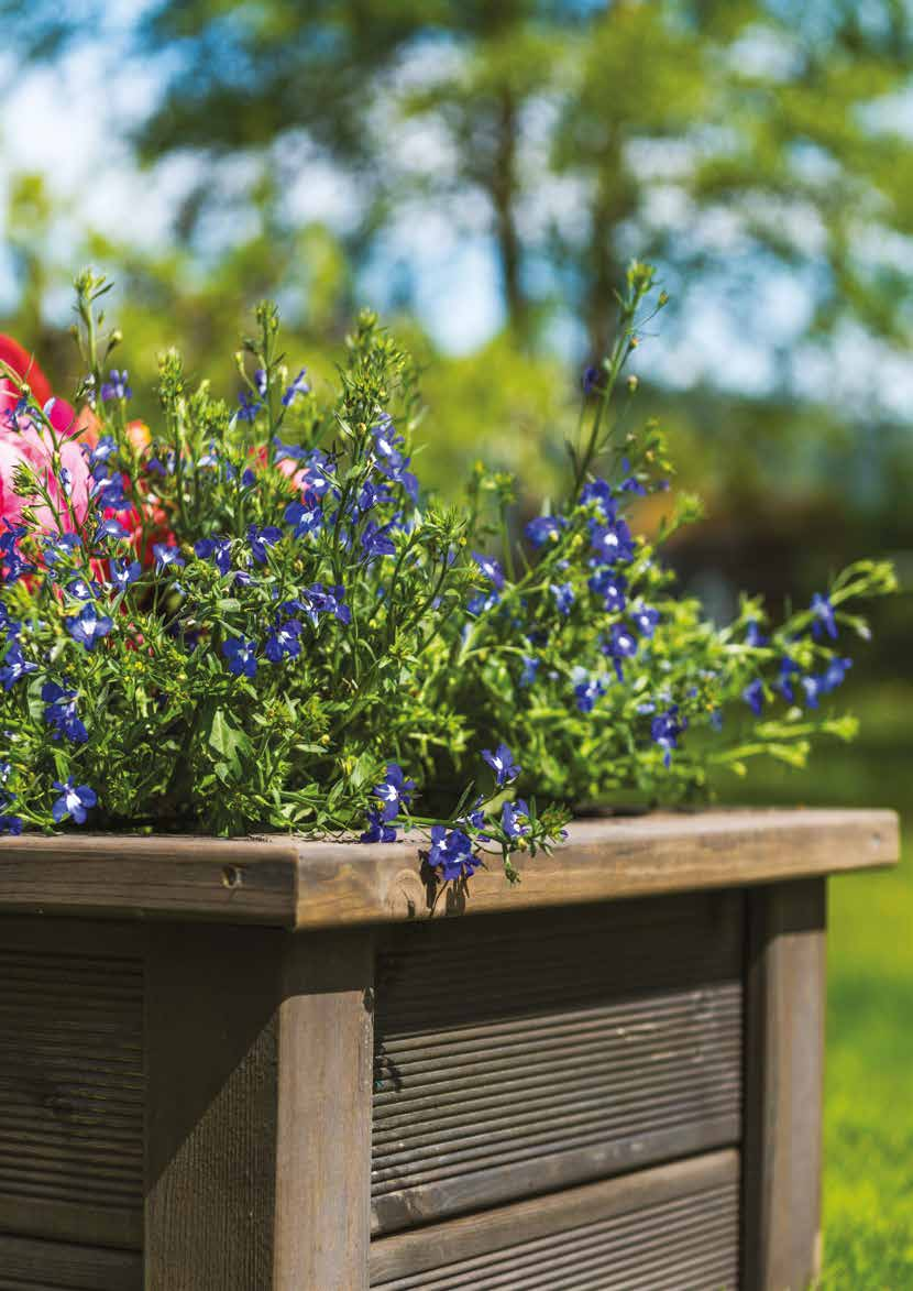 BLOMSTERKASSE størrelse på kassen selv - bruk rillet eller glatt side ut på terrassebordene Skyv kort sidevang inn i sporet på MULTI-stolpen fra bunnen. Her ca cm fra bunn opp til sidevang.