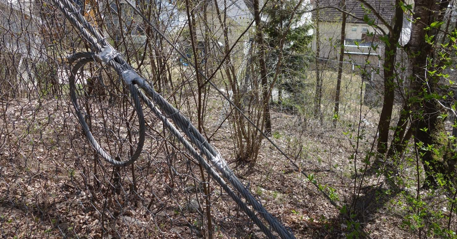 Vedlegg A, side: 8 Foto 13: Skriugata 23 hvor stein knuste bord i hage sommer 2014. En stein på ca. 100 kg stoppet i tre der bildet er tatt.