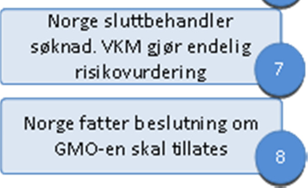 Vedlegg IV Gangen i søknadsprosessen når en GMO søkes godkjent Norge er gjennom EØS-avtalen tilsluttet EUs godkjenningsordning for genmodifiserte organismer.