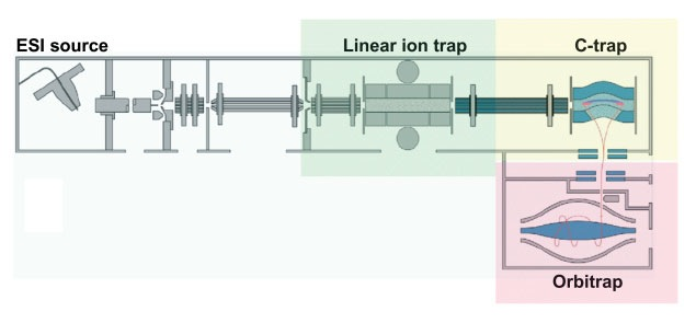 3.7.4 LTQ-Orbitrap MS- apparatet i oppgaven (LTQ- Orbitrap) er et hybridinstrument som benytter seg av flere massespektrometriske prinsipper. Den første delen etter ionekilden er en lineær ionefelle.