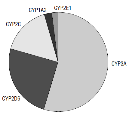 CYP-testing kan gi indikasjon om dosetilpasning grunnet variasjon i farmakokinetikk Hege Christensen Momenter til foredraget Variasjon i farmakokinetiske prosesser CYP-enzymer Individuelle