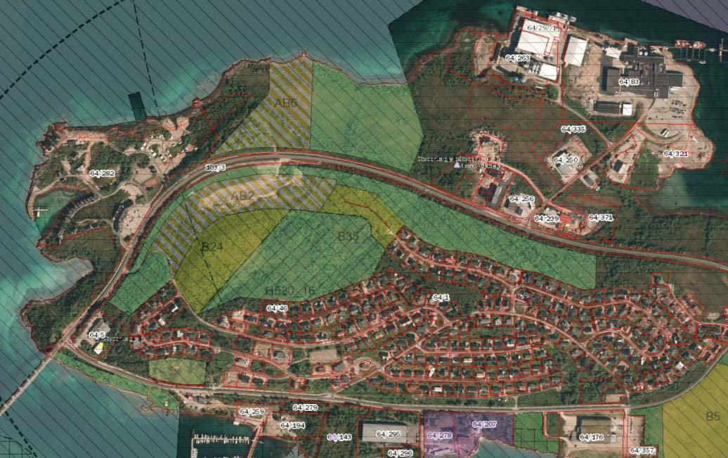 Børøya i Hadsel Fylkesmannen frafalt etter hvert innsigelsen til lokalisering av boligområder på toppen av Børøya.