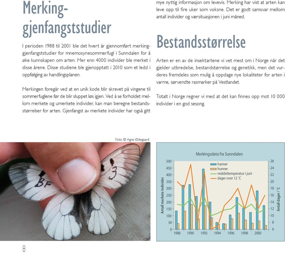 Merkingen foregår ved at en unik kode blir skrevet på vingene til sommerfuglene før de blir sluppet løs igjen.