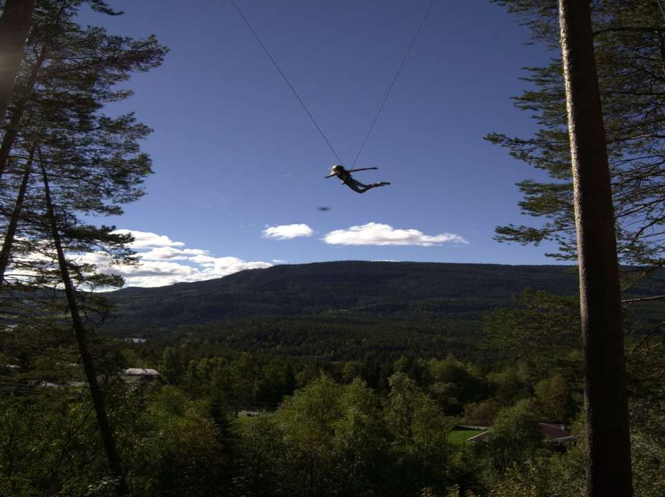 GOD FORANKRING I RØTTENE HEVE BLIKKET OG SE