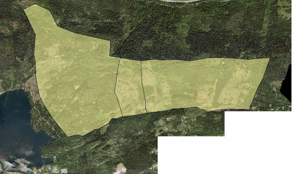 Vedtaksnr. 7: Område ved Hagatjern mot Drammen grense, Åsen Innspillsnr.