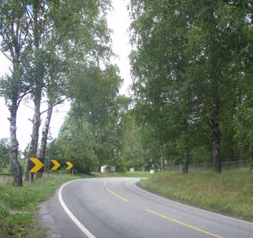 7 Rv. 22 Fetveien, Sand Gansdalen Veginfo: Asfaltdekke med hvit- og gul stripe. 60 km/t. ÅDT 6700. Vegbredde: 6 m Allélengde: 46 m. Ensidig rekke, plantet. Treslag/antall: Bjørk Betula pendula.