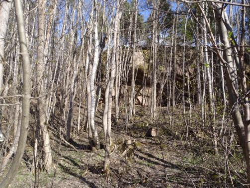 Foto. Modell som viser kulvert ved Linnes gård. Foto. Påhuggsområdet ved Linnes. Påhugget blir lagt til bergknausen i bakgrunnen.