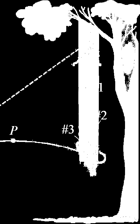 hp://pingo.upb.de/ access numbe: 8178 En deoke ske en bedøelsespil på en leskem ape. Nå apen høe skudde slippe han ake i samme øeblikk som pilen folae geæe.