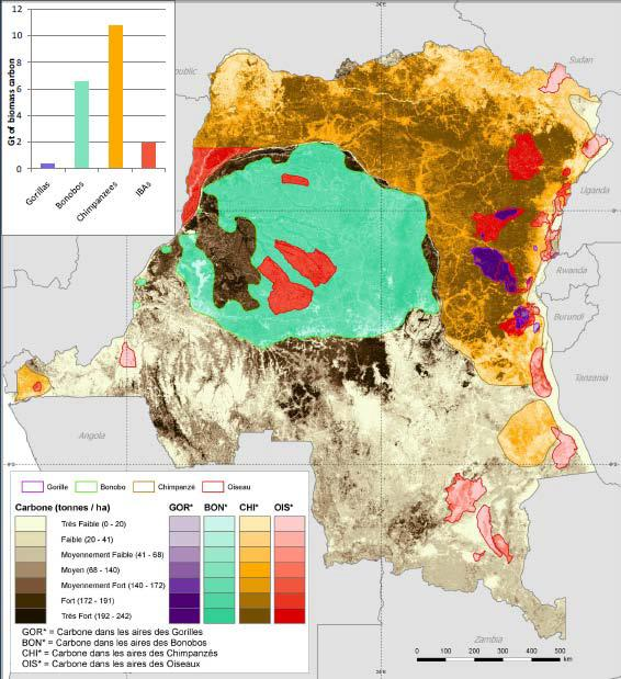 9 Ministry of the Environment The