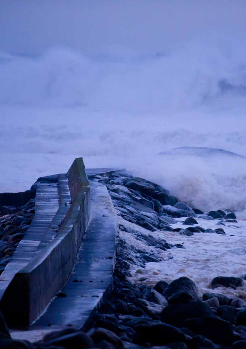 NATUR HENDINGAR JÆREN, NOVEMBER 2011 Uvêret Berit herja på