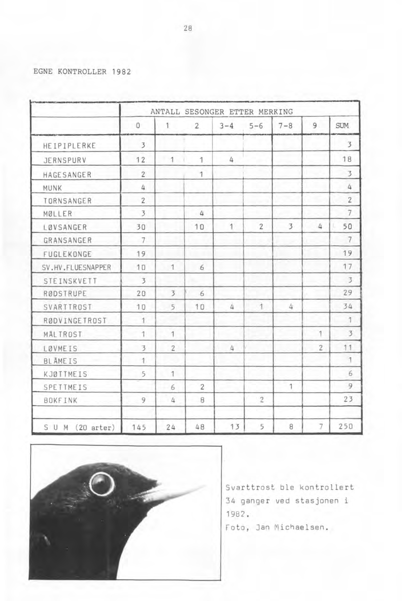 28 EGNE KONTROLLER 1982 HEIPIPLERKE 3 ANTALL 0 1 JERNSPURV 1 2 1 HAGE SANGER 2 MUNK 4 TORNSANGER 2 MØLLER 3 LØVSANGER 30 GRANSANGER 7 FUGLEKONGE 19 SV.HV.