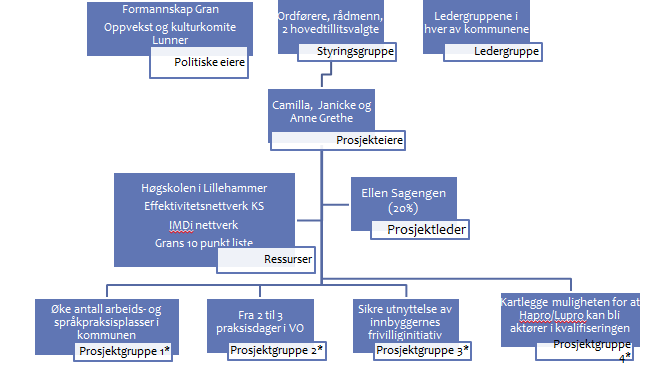 Det helhetlige strategiske arbeidet med integreringsarbeidet i Lunner og Gran er ikke koordinert godt nok Behov for å forankre ansvar og strategier i overordnede planer Behov for et mer sømløst